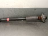 Rear shock absorber/damper