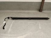 Tailgate/trunk strut/damper