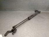 Tailgate/trunk strut/damper