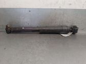 Rear shock absorber/damper