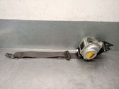 Rear seatbelt