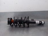 Front shock absorber with coil spring