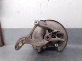 Rear wheel hub spindle/knuckle
