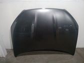 Capó/tapa del motor