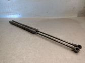 Tailgate/trunk strut/damper
