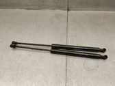 Tailgate/trunk strut/damper