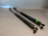 Tailgate/trunk strut/damper