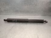 Tailgate/trunk strut/damper