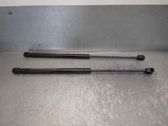 Tailgate/trunk strut/damper