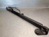 Tailgate/trunk strut/damper
