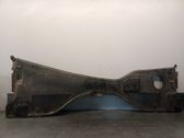 Windshield trim
