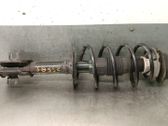 Amortiguador delantero con muelle espiral