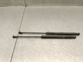 Tailgate/trunk strut/damper