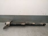 Rear shock absorber/damper