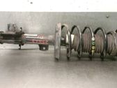 Front shock absorber with coil spring