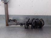 Front shock absorber with coil spring