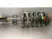 Front shock absorber with coil spring