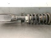 Front shock absorber with coil spring