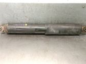 Rear shock absorber/damper