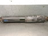 Rear shock absorber/damper
