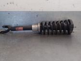 Front shock absorber with coil spring
