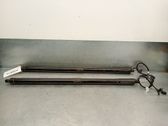 Tailgate/trunk strut/damper