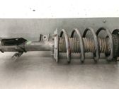 Amortiguador delantero con muelle espiral