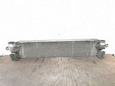 Radiador intercooler