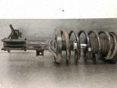 Amortiguador delantero con muelle espiral