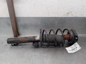 Amortiguador delantero con muelle espiral