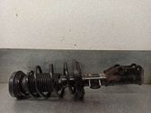 Front shock absorber with coil spring