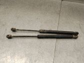 Tailgate/trunk strut/damper