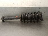 Amortiguador delantero con muelle espiral