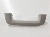 Front interior roof grab handle