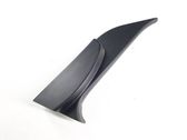 Other front door trim element