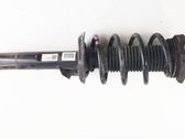 Front shock absorber/damper