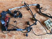 Other wiring loom