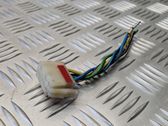 Other wiring loom