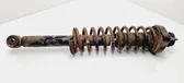 Rear shock absorber with coil spring