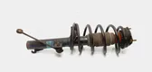 Front shock absorber/damper