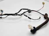 Rear door wiring loom