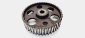 Fuel pump gear (pulley)