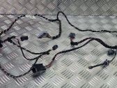 Other wiring loom