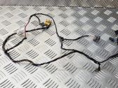 Rear door wiring loom