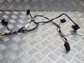 Other wiring loom
