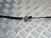 Rear door cable line