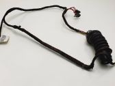 Rear door wiring loom