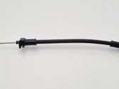 Rear door cable line