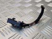 Other wiring loom