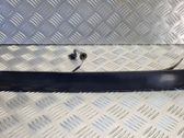 Trunk door license plate light bar